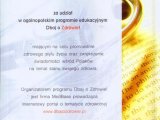  manicure  ostrowiec �wi�tokrzyski